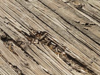 old wooden deck that needs attention