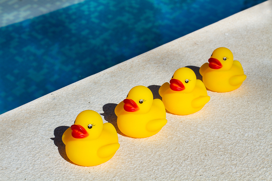 https://www.solidstateconstruction.com/wp-content/uploads/2022/12/Four-Yellow-Ducks-In-A-Row.jpg